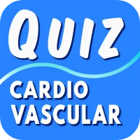 Cardiovascular System